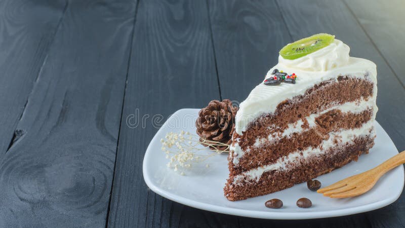 Gâteau de chocolat dans le plat images libres de droits Gâteau de chocolat dans le plat images libres de droits