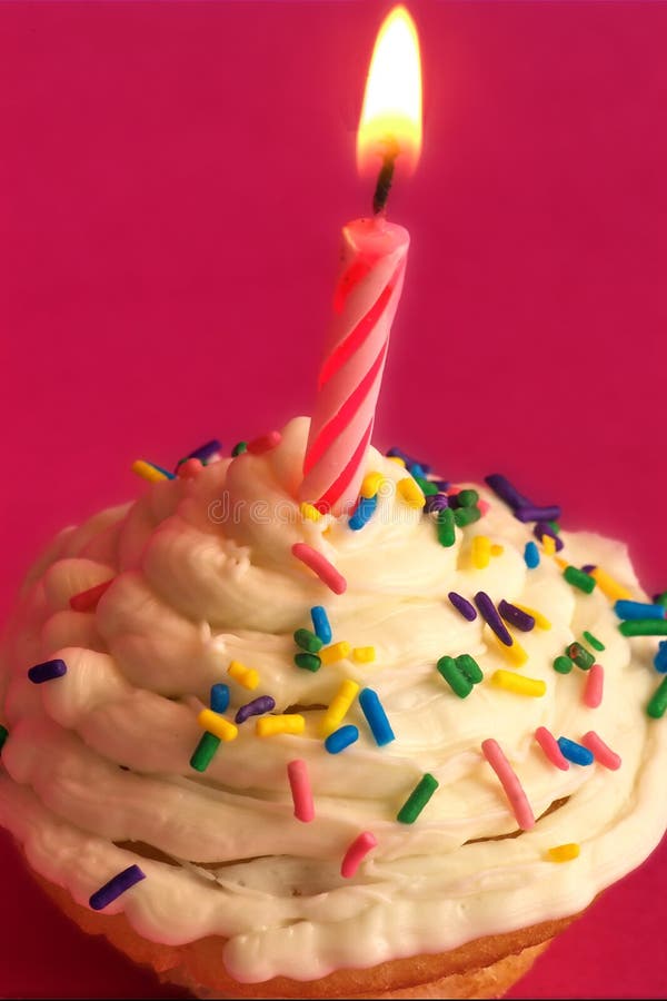 Gâteau de célébration images libres de droits Gâteau de célébration images libres de droits