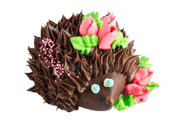 Gâteau sous forme de hérisson photographie stock Gâteau sous forme de hérisson photographie stock