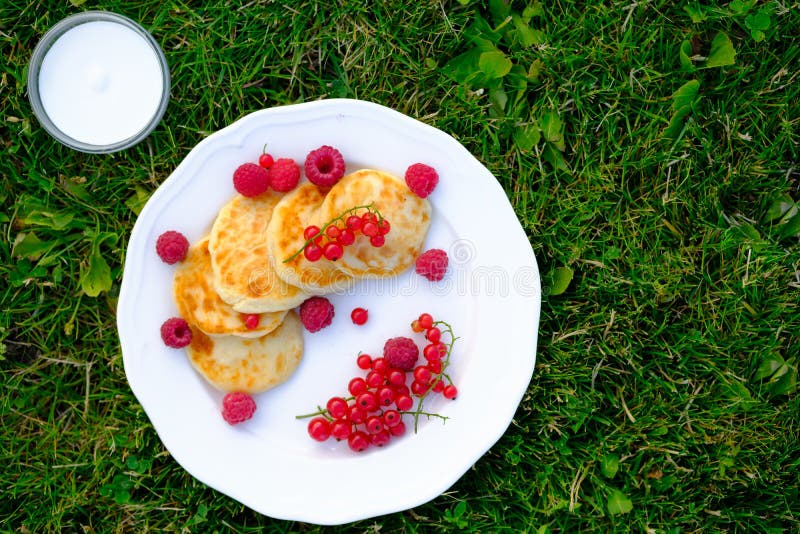 Gâteaux au fromage sains de petit déjeuner avec la crème sure et les baies photo libre de droits Gâteaux au fromage sains de petit déjeuner avec la crème sure et les baies photo libre de droits