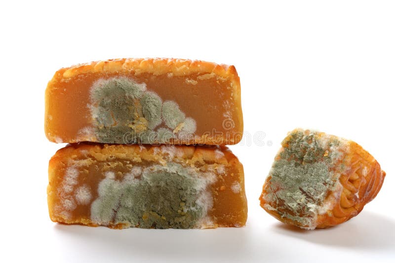 Gâteaux moisis coupés de lune sur fond blanc photos libres de droits