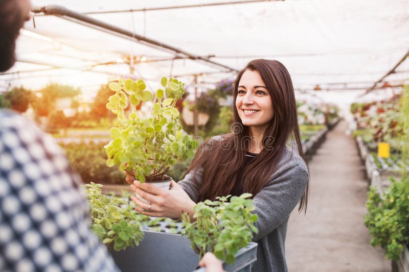 Male gardener helping customer to choose right flowers and seedlings for her garden. Offering wide range of plants during spring gardening season. Male gardener helping customer to choose right flowers and seedlings for her garden. Offering wide range of plants during spring gardening season.