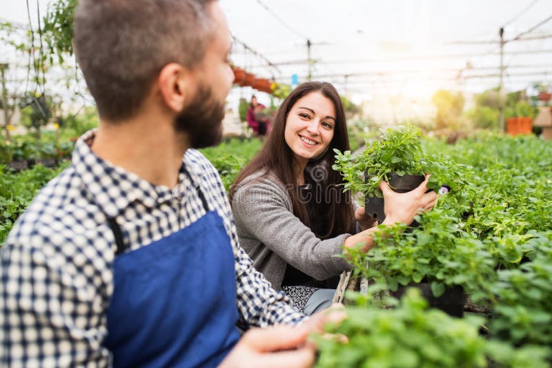 Male gardener helping customer to choose right flowers and seedlings for her garden. Offering wide range of plants during spring gardening season. Male gardener helping customer to choose right flowers and seedlings for her garden. Offering wide range of plants during spring gardening season.