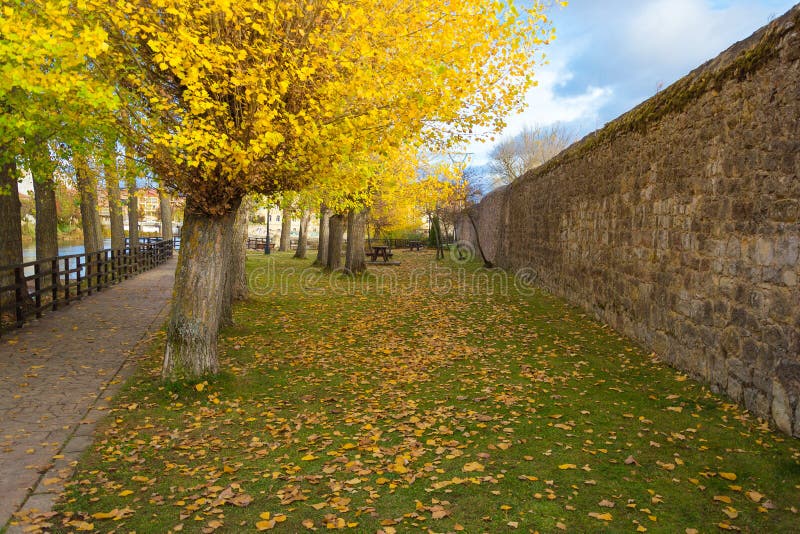 Gå på Aguilar de Campoo i höst arkivfoto Gå på Aguilar de Campoo i höst arkivfoto