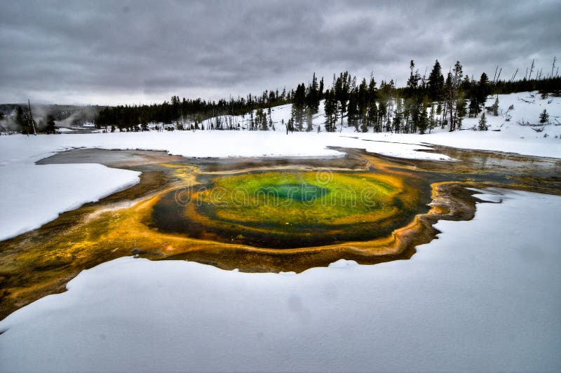Géiser en el parque nacional de Yellowstone imagenes de archivo Géiser en el parque nacional de Yellowstone imagenes de archivo