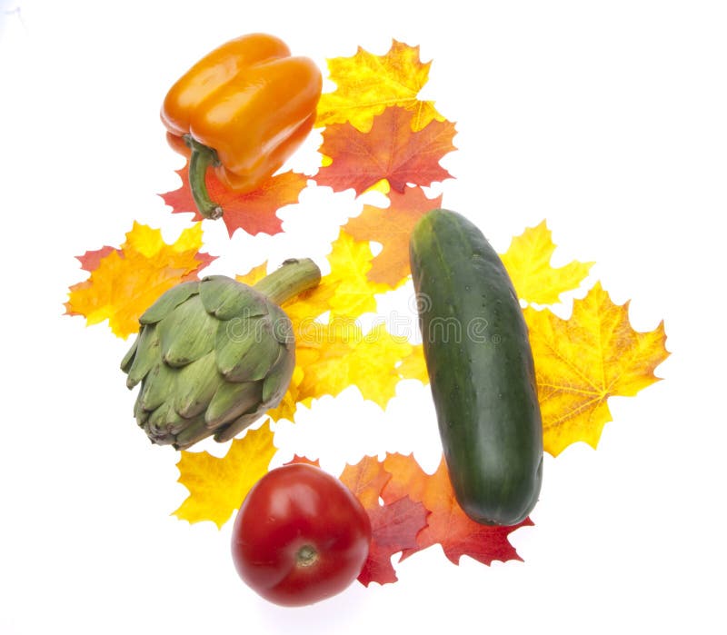 Générosité de jardin d'automne image libre de droits Générosité de jardin d'automne image libre de droits