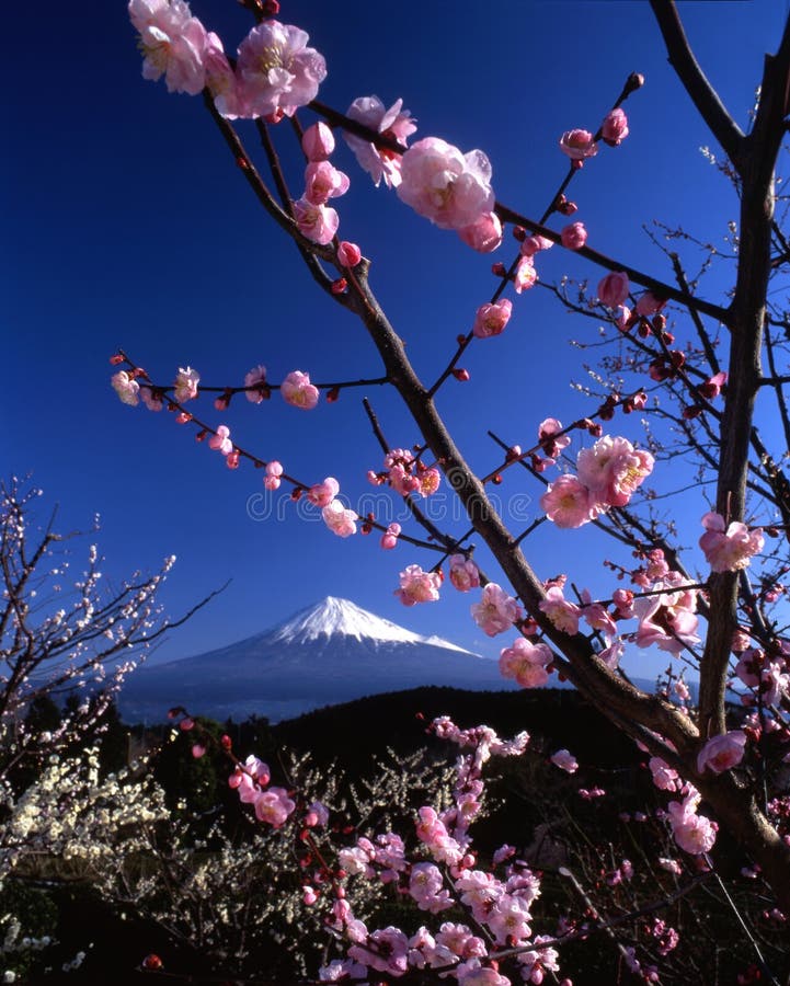 góry fuji vi góry fuji vi