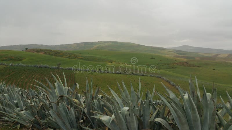 Góry i grodzcy regionów fes, Morocco obrazy stock Góry i grodzcy regionów fes, Morocco obrazy stock