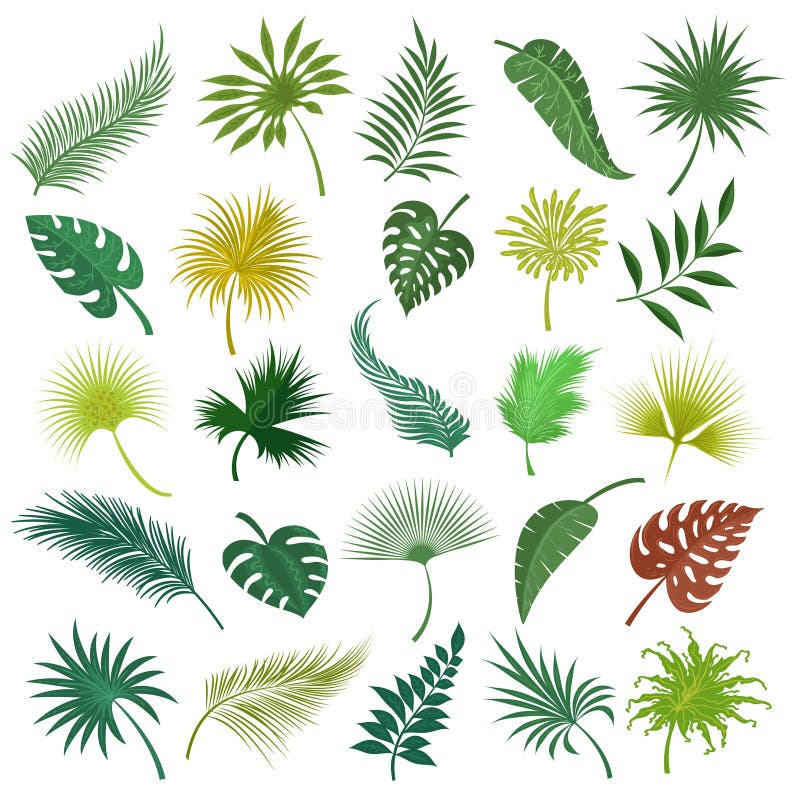 Gömma i handflatan den exotiska sidauppsättningen royaltyfri illustrationer Gömma i handflatan den exotiska sidauppsättningen royaltyfri illustrationer