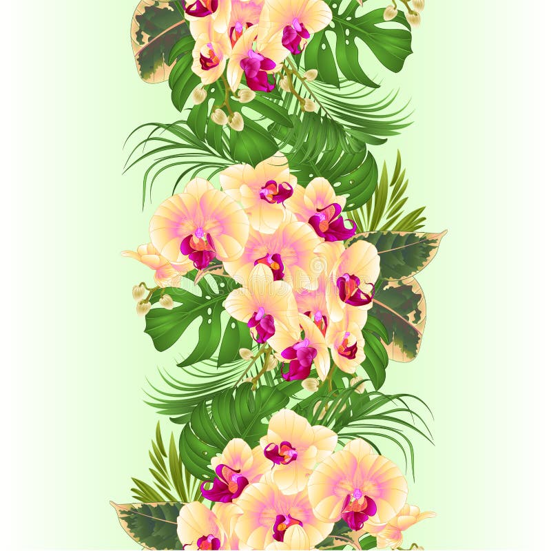 Gömma i handflatan sömlös bakgrund för den vertikala gränsen med blom- ordning för tropiska blommor, med den härliga gula orkidén stock illustrationer Gömma i handflatan sömlös bakgrund för den vertikala gränsen med blom- ordning för tropiska blommor, med den härliga gula orkidén stock illustrationer