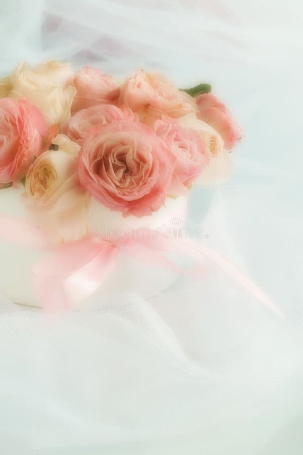 Gör suddig effekt, mjuk fokusblommabakgrund med buketten av gränsen - rosa rosor arkivbild Gör suddig effekt, mjuk fokusblommabakgrund med buketten av gränsen - rosa rosor arkivbild