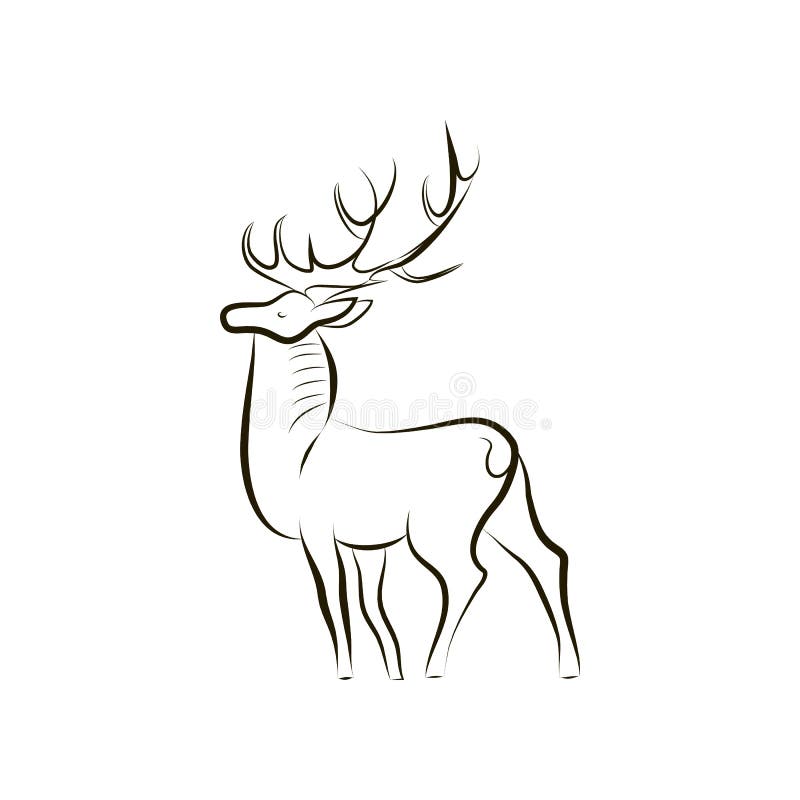 Handezeichnung Schwarz Weiss Hirsch Seitenansicht Vektor Abbildung Illustration Von Schwarz Handezeichnung
