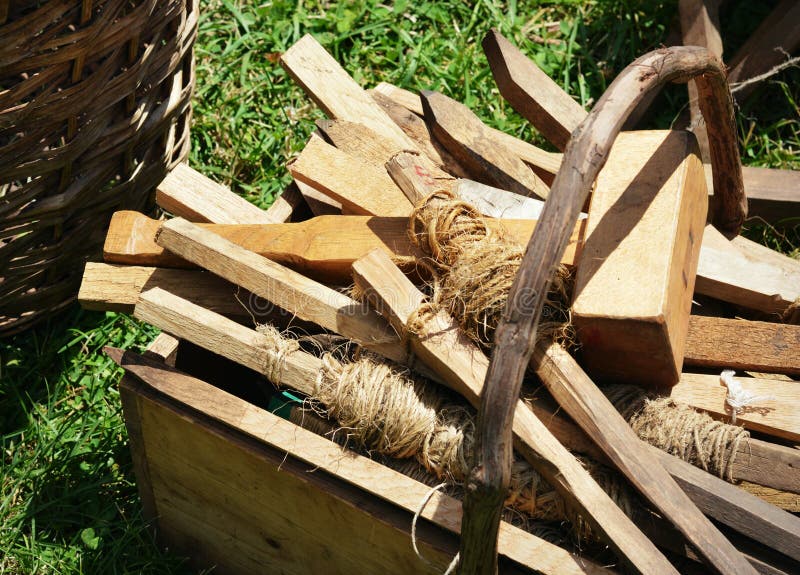 GartenStangen stockfoto. Bild von jahreszeit, grün