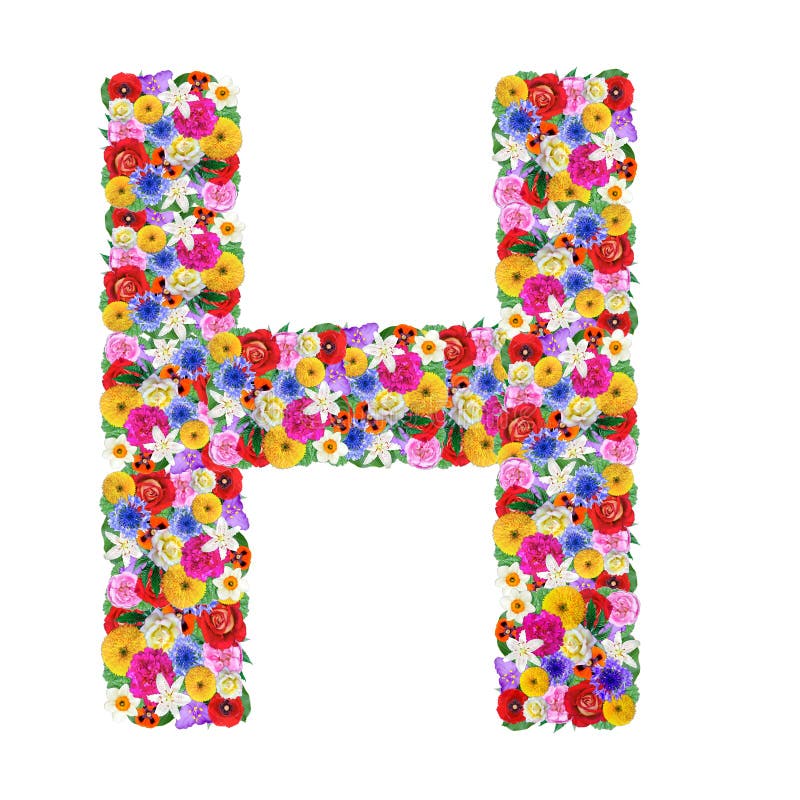 H, Buchstabe des Alphabetes in den verschiedenen Blumen