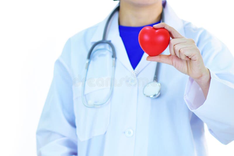 Cardiologist holding heart in hand, heart care concept, white background