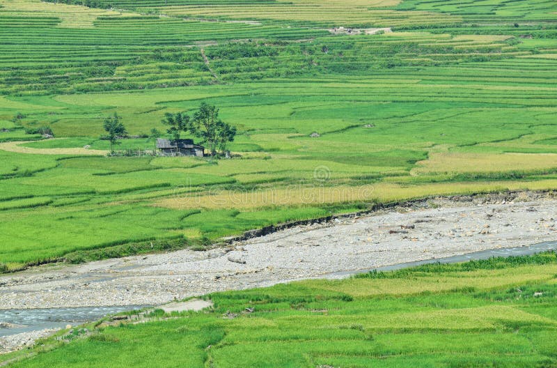 The H`Mong`s terraced rice field and their traditional houses in La Pan Tan commune, Mu Cang Chai dist., Yen Bai prov., Viet Nam. The H`Mong`s terraced rice field and their traditional houses in La Pan Tan commune, Mu Cang Chai dist., Yen Bai prov., Viet Nam