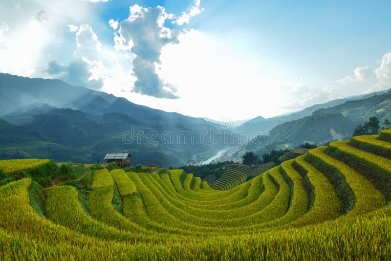 The H`Mong`s terraced rice field which is called `horse shoe` Vietnamese: Sang Nhu in La Pan Tan commune, Mu Cang Chai dist., Yen Bai prov., Viet Nam. The H`Mong`s terraced rice field which is called `horse shoe` Vietnamese: Sang Nhu in La Pan Tan commune, Mu Cang Chai dist., Yen Bai prov., Viet Nam