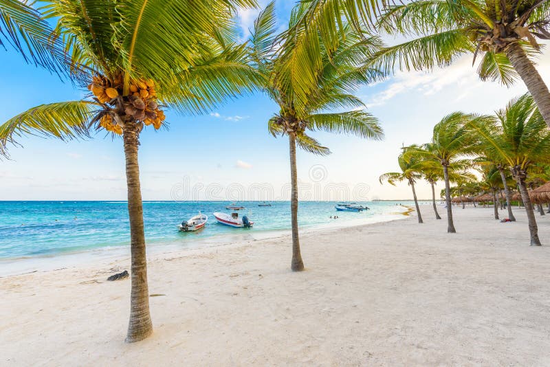 H? rlig vit sandstrand i Akumal, Mexico - paradisfj? rdstrand i Quintana Roo - karibisk kust - solnedg? ng p? Riviera Maya royaltyfria bilder