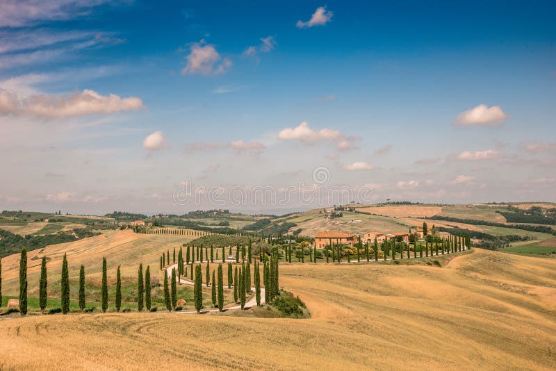 H?rligt landskaplandskap av Tuscany i Italien - cypresstr?d l?ngs den vita v?gen - flyg- sikt - n?stan Asciano, Tuscany, Italien arkivbild H?rligt landskaplandskap av Tuscany i Italien - cypresstr?d l?ngs den vita v?gen - flyg- sikt - n?stan Asciano, Tuscany, Italien arkivbild