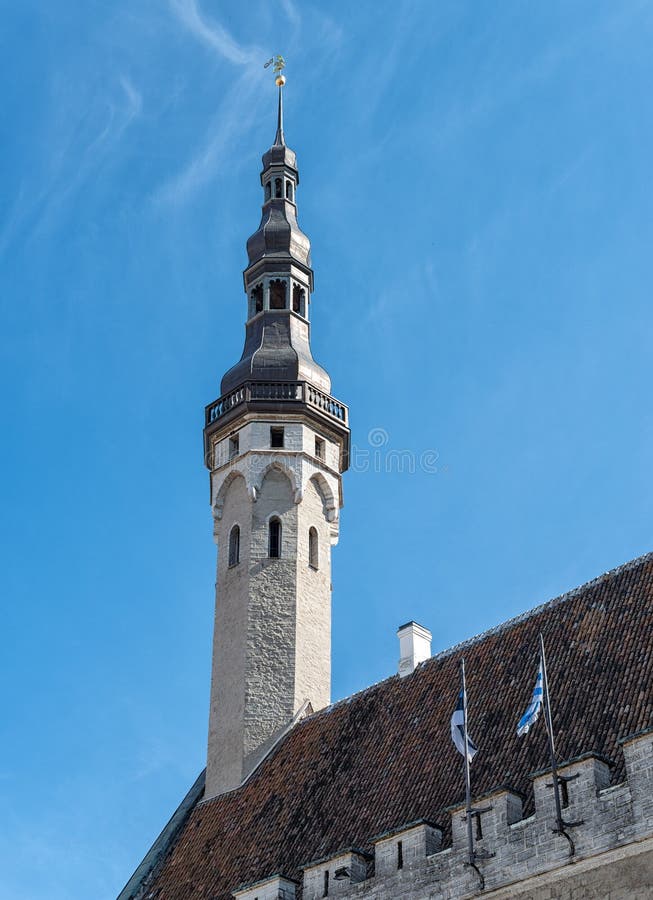 Hôtel de ville de Tallinn image