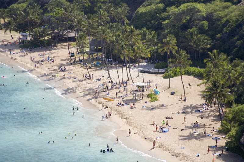 H64 Tropical Beach Paradise royalty free stock images