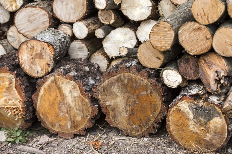 Ha accatastato ordinatamente la pila di tronchi tagliati all'aperto il giorno soleggiato luminoso, il fondo astratto, ceppi di le immagine stock libera da diritti Ha accatastato ordinatamente la pila di tronchi tagliati all'aperto il giorno soleggiato luminoso, il fondo astratto, ceppi di le immagine stock libera da diritti