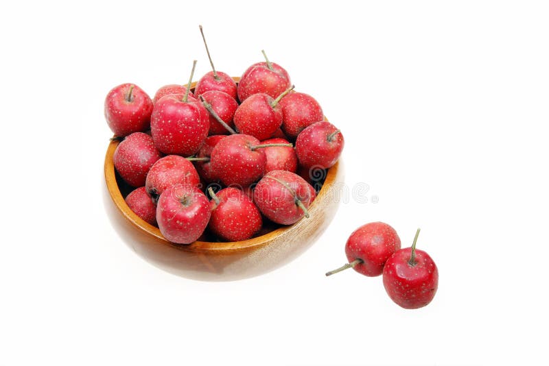 Meidoorn royalty-vrije stock afbeeldingen