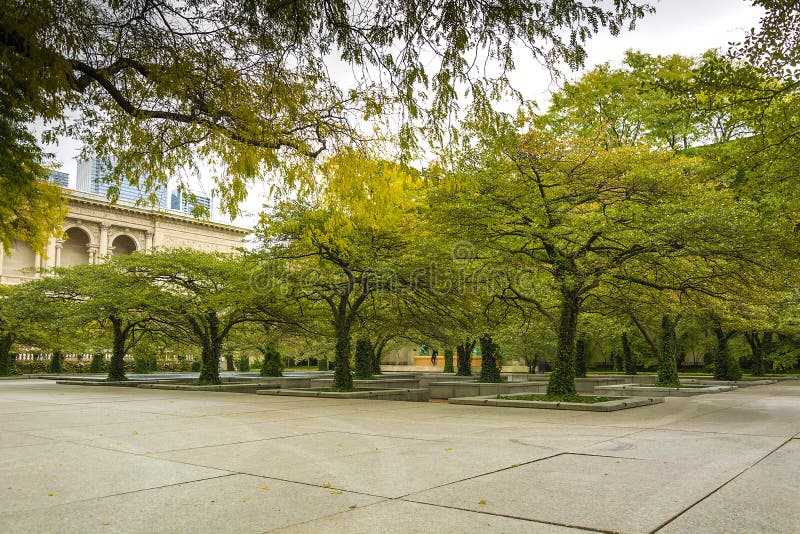Meidoornbomen in Chicago royalty-vrije stock afbeeldingen