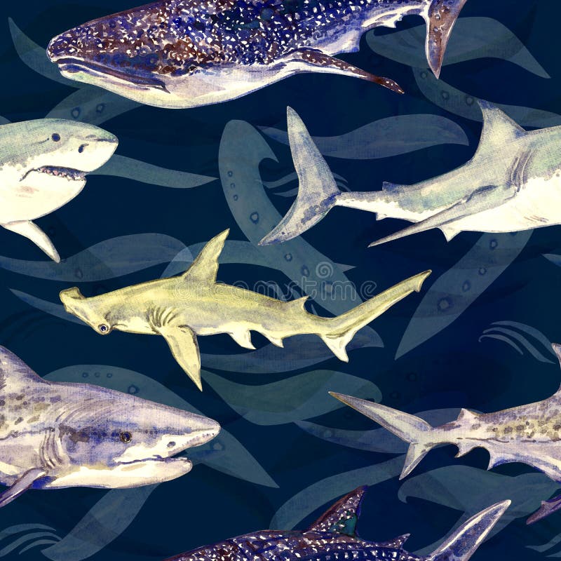 Haaienverscheidenheid: Blauw, Tijger, Walvis en Hammerhead, hand geschilderde waterverfillustratie, naadloos patroon op donkerbla stock illustratie Haaienverscheidenheid: Blauw, Tijger, Walvis en Hammerhead, hand geschilderde waterverfillustratie, naadloos patroon op donkerbla stock illustratie