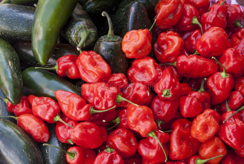 Habanero And Jalapeno Chilies Stock Image Image of chilli, habanero