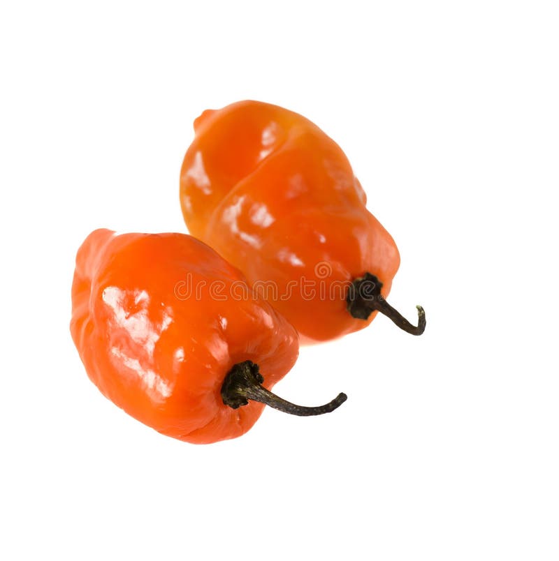 Habanero Peppers