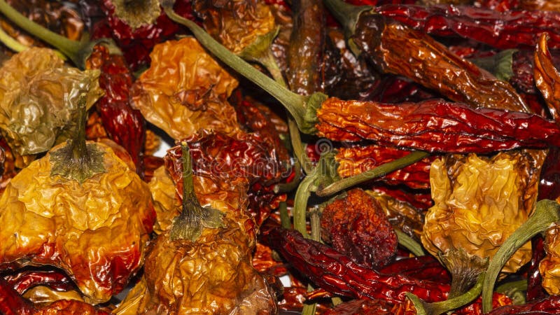 Habanero und langer roter Pfeffer getrocknet lizenzfreie stockbilder Habanero und langer roter Pfeffer getrocknet lizenzfreie stockbilder