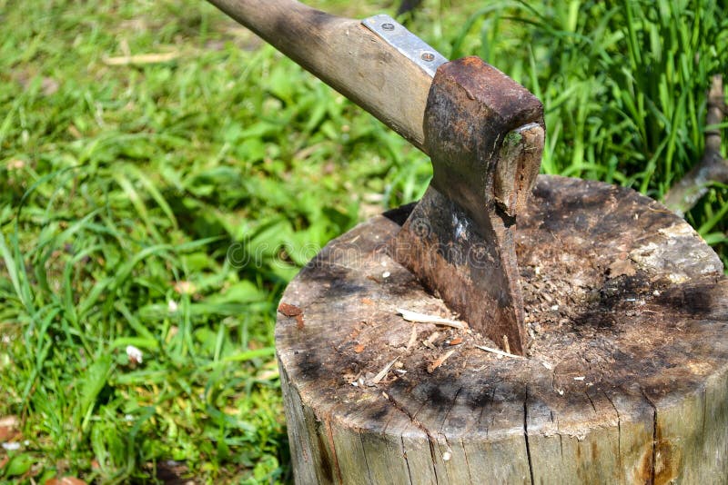 Hache Dans La Souche. Hache Prête À Couper Du Bois. Outil De