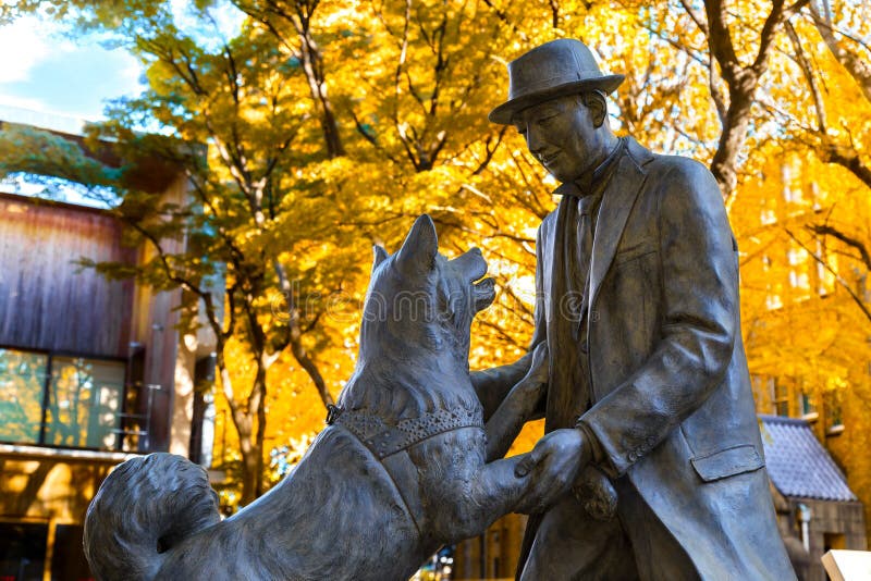 Hachiko con el Dr. Estatua de Hidesaburo Ueno en la universidad de Tokio fotos de archivo Hachiko con el Dr. Estatua de Hidesaburo Ueno en la universidad de Tokio fotos de archivo