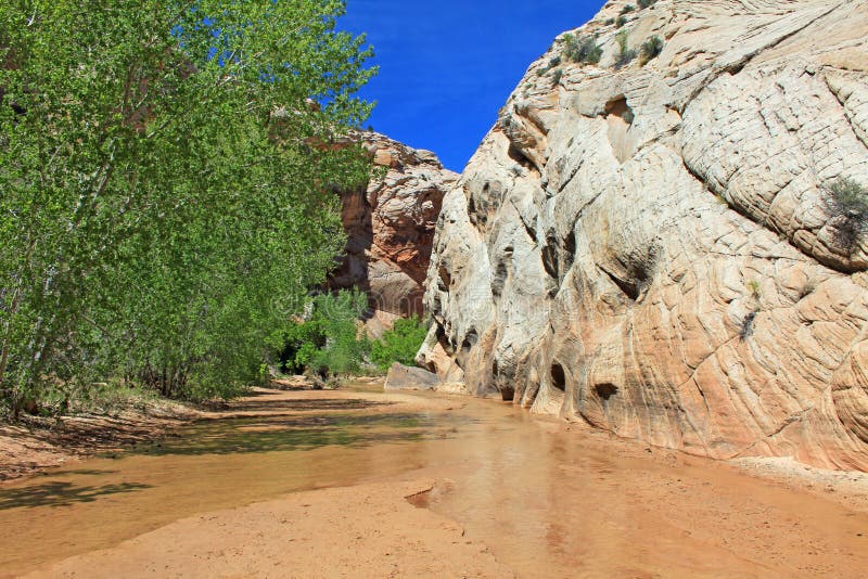 Hackberry Canyon stock image. Image of hackberry, canyon 34792423