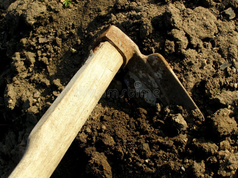 Hacke im Garten stockbild. Bild von farbe, hacke, garten