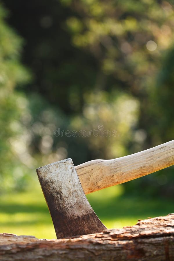 Mann, Der Holz In Seinem Garten Hackt Stockfoto Bild von