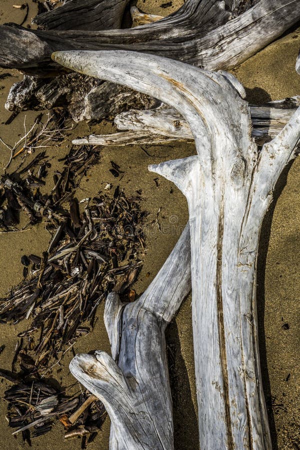 Hacząca i bieląca driftwood bela przy Flagstenga jeziorem, northwester fotografia stock Hacząca i bieląca driftwood bela przy Flagstenga jeziorem, northwester fotografia stock