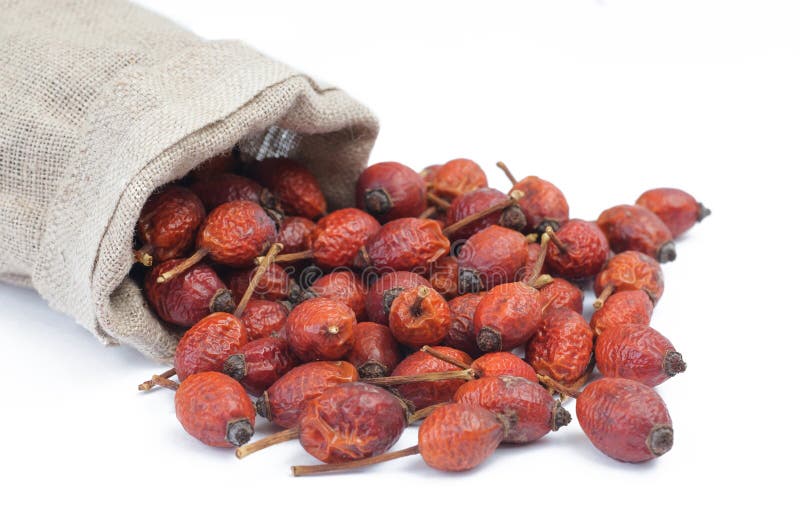 Briar Berry stockfoto. Bild von berry, briar 76933852