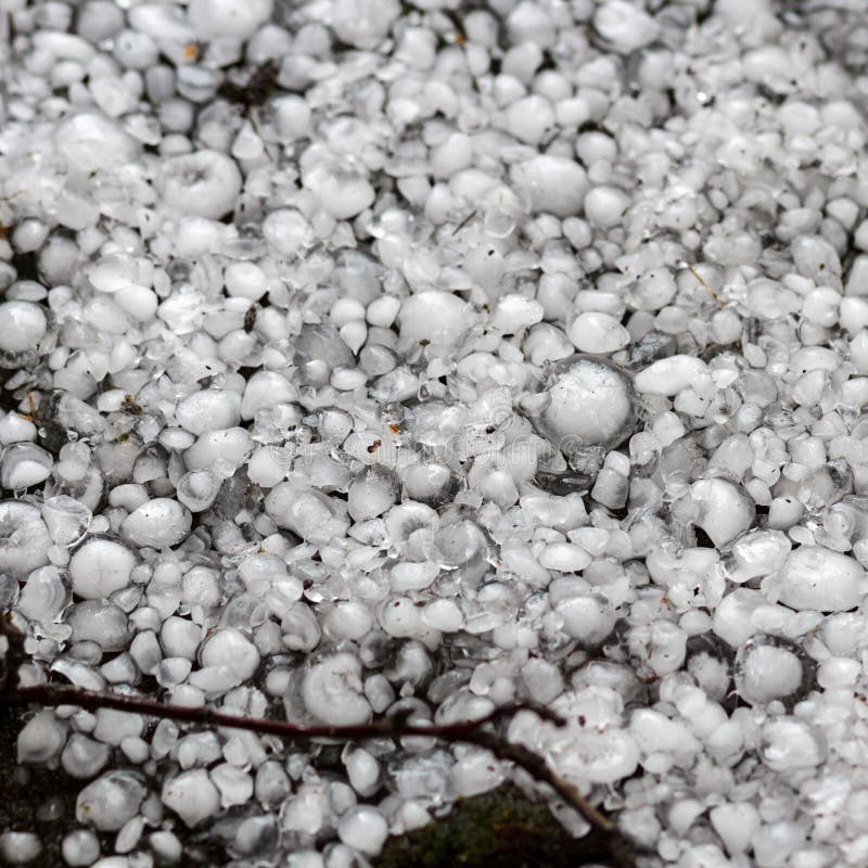 Hagelkorn på jordningen efter hagelskuren, hagel av det stora formatet, hagel som storleksanpassas med ett större mynt fotografering för bildbyråer Hagelkorn på jordningen efter hagelskuren, hagel av det stora formatet, hagel som storleksanpassas med ett större mynt fotografering för bildbyråer