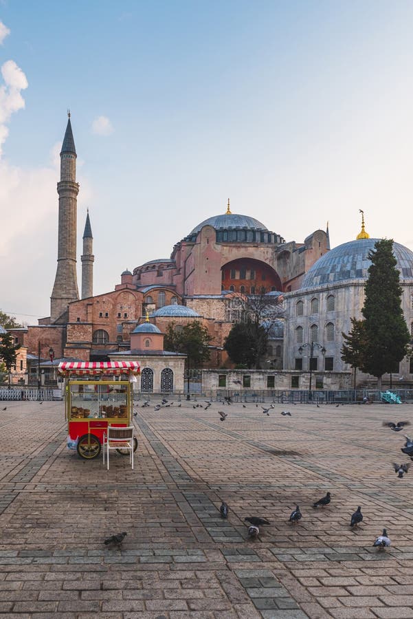 Hagia Sophia or Ayasofya mosque museum and simit cart with birds on cobblestone on sunrise in Istanbul, Turkey. Vertical orientation