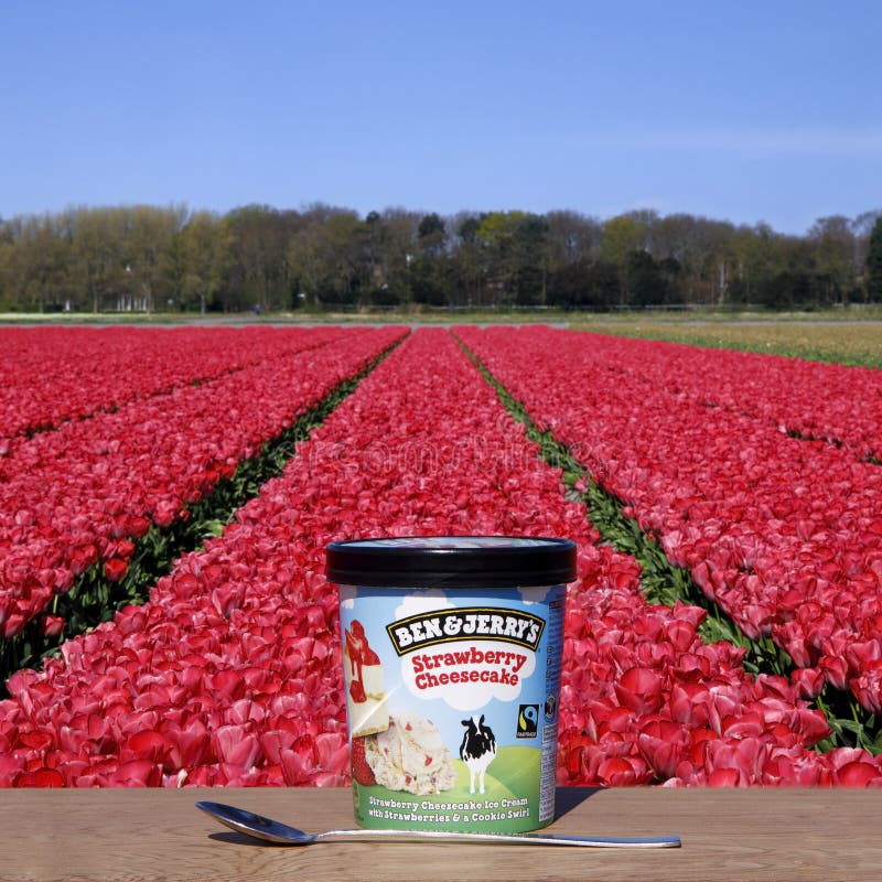 The Hague, The Netherlands - April 2020: Ben & Jerry`s Strawberry Cheesecake Ice Cream on the Wooden table against Tulip field