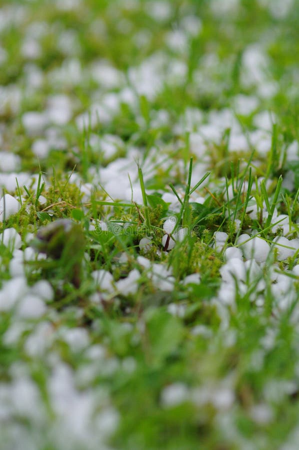 Hail balls royalty free stock photography Hail balls royalty free stock photography