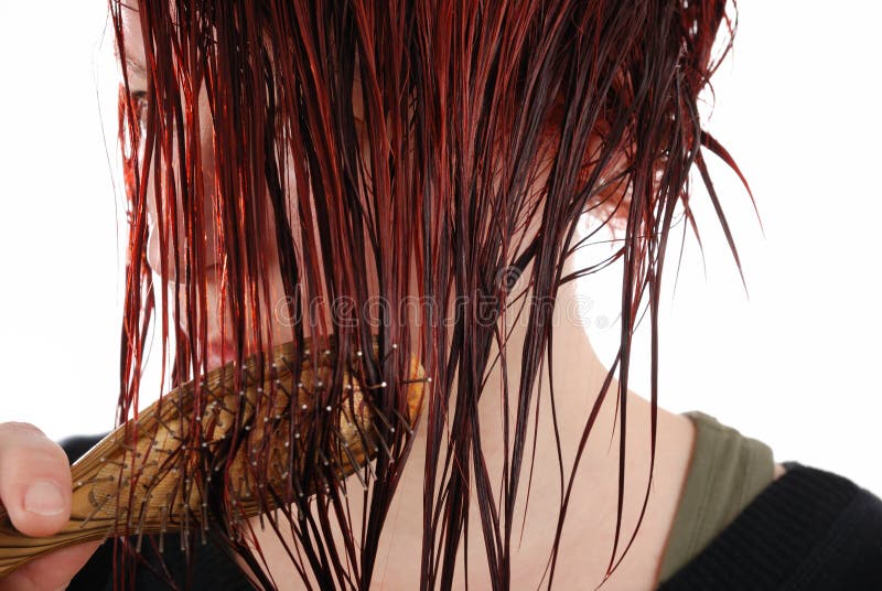 Hair royalty free stock image