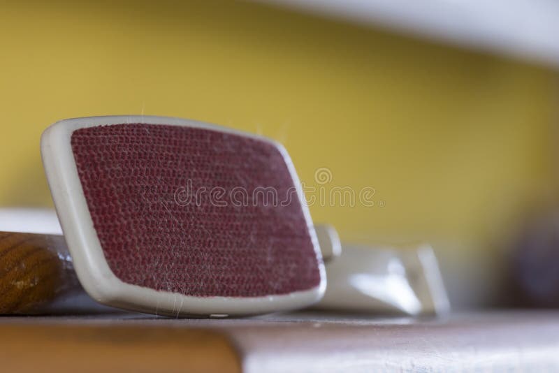 Hair Brush, Dusty Environment Stock Photo Image of warm, pets 162180572