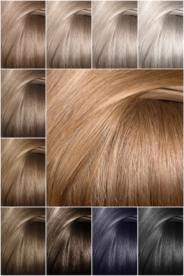 Hair Color Palette with a Wide Range of Samples. Hair Texture in Different  Stock Photo - Image of shade, beauty: 142158948