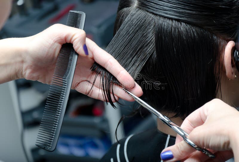 145,437 Hair Cut Stock Photos - Free & Royalty-Free Stock Photos from Dreamstime 145,437 Hair Cut Stock Photos - Free & Royalty-Free Stock Photos from Dreamstime