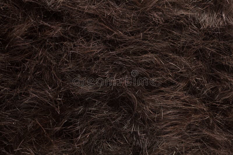 Cut Hair Floor Stock Photos Download 1 323 Royalty Free Photos