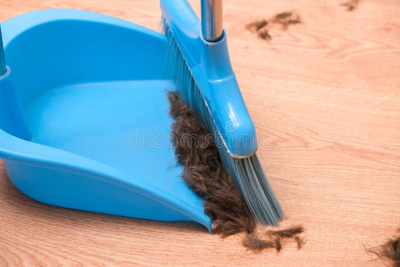 Hair after Cutting on the Floor. Cleaning Hair with a Broom in Dustpan