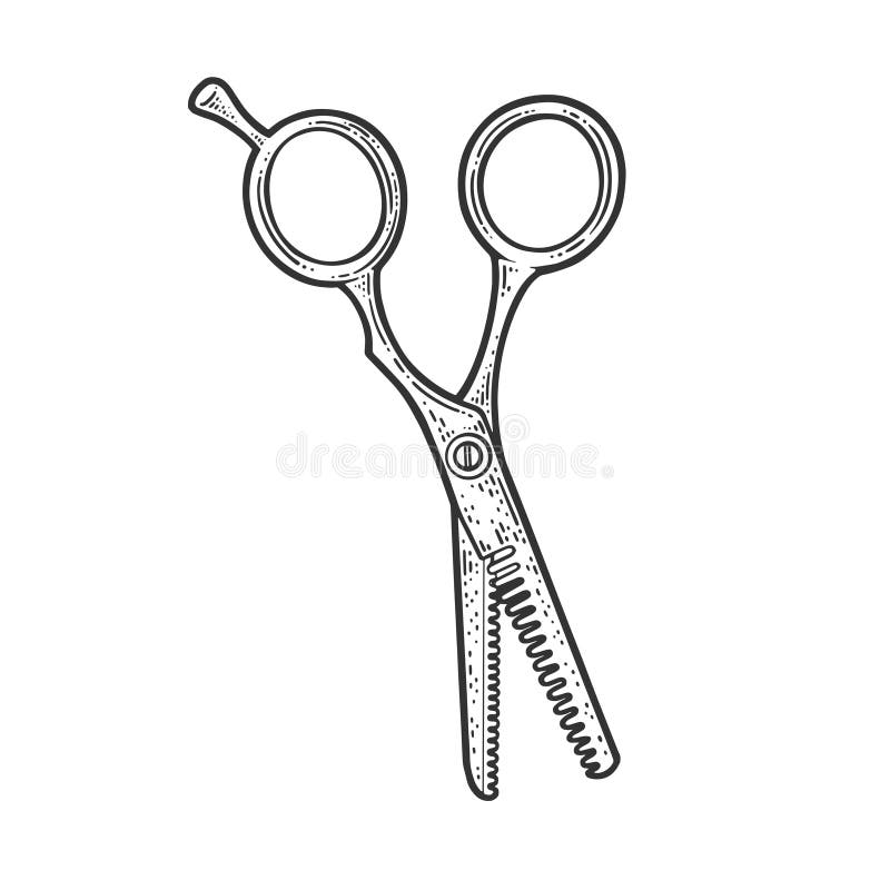 Scissors for needlework sketch vector illustration. Tailors scissors.  Scissors for sewing. vector doodle hand-drawn scissors illustration  isolated on a white background. 33282660 Vector Art at Vecteezy